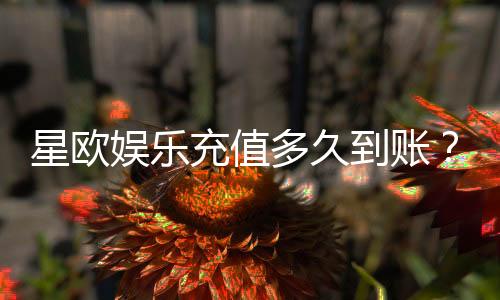 星欧娱乐充值多久到账?快速到账技巧与常见问题解析