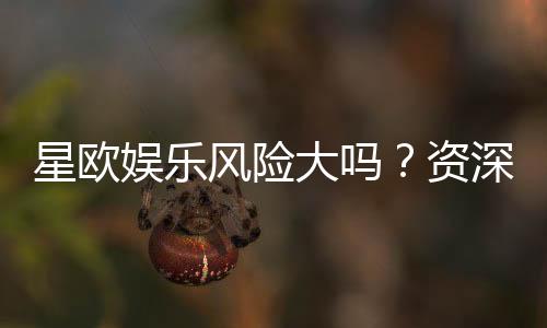星欧娱乐风险大吗？资深玩家解析平台安全性与游戏体验