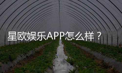 星欧娱乐APP怎么样?资深玩家实测体验与平台特色解析