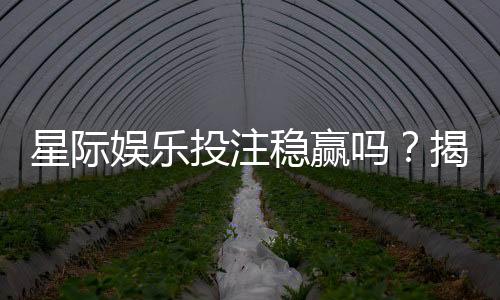 星际娱乐投注稳赢吗?揭秘高胜率玩家的实战策略与风险控制