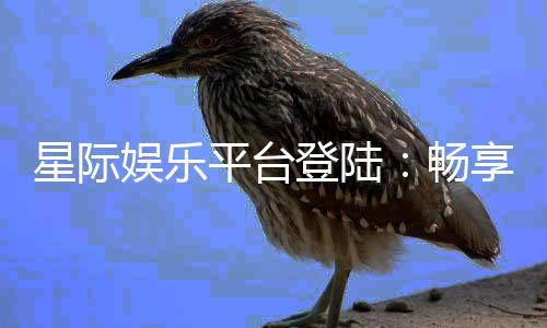 星际娱乐平台登陆：畅享星际之旅的顶级游戏体验