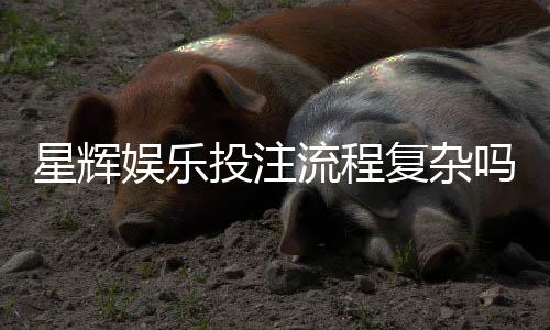 星辉娱乐投注流程复杂吗?三步教你轻松上手