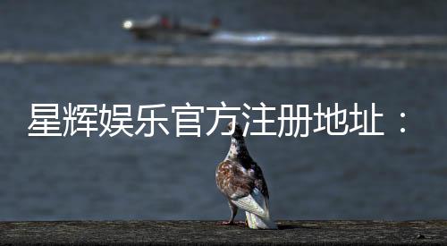 星辉娱乐官方注册地址:快速获取官网入口与安全注册指南