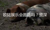 欧陆娱乐会跑路吗？资深玩家解析平台安全性与应对策略