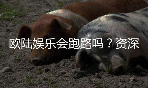 欧陆娱乐会跑路吗？资深玩家解析平台安全性与应对策略