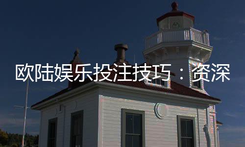 欧陆娱乐投注技巧：资深玩家分享实战盈利策略