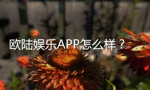 欧陆娱乐APP怎么样?资深玩家亲测体验与下载指南