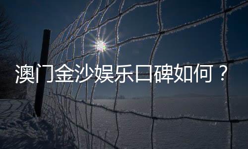 澳门金沙娱乐口碑如何?玩家真实评价与体验分享