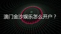 澳门金沙娱乐怎么开户?手把手教你快速注册流程