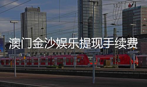 澳门金沙娱乐提现手续费高吗?资深玩家解析费用标准与到账技巧