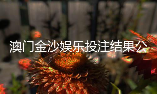 澳门金沙娱乐投注结果公平吗?深度解析平台公正性与玩家实测反馈