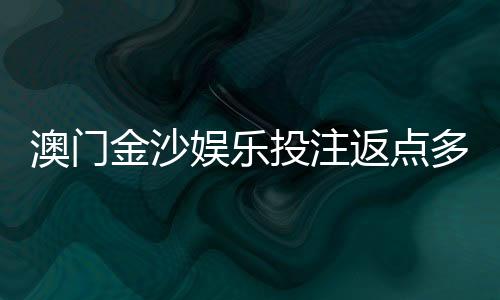 澳门金沙娱乐投注返点多少?揭秘高返水攻略与独家优惠