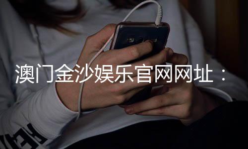 澳门金沙娱乐官网网址：揭秘官网优惠活动与安全投注攻略