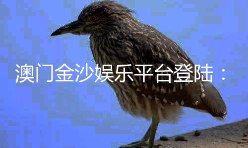 澳门金沙娱乐平台登陆:畅享豪华博彩体验与独家优惠