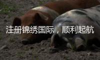 注册锦绣国际,顺利起航的秘诀