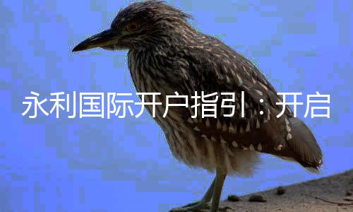 永利国际开户指引:开启你的娱乐新篇章