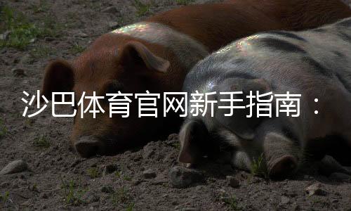 沙巴体育官网新手指南:注册登录、充值提现、安全与常见玩法全攻略