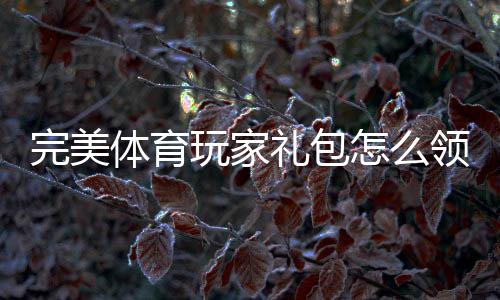 完美体育玩家礼包怎么领取?最新兑换码与礼包内容详解