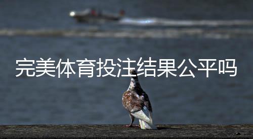 完美体育投注结果公平吗？专家揭秘公平性判定方法与维权指南