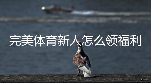 完美体育新人怎么领福利?注册、首存与优惠码领取详细攻略