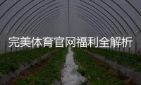 完美体育官网福利全解析：新人注册优惠、日常活动与领取攻略
