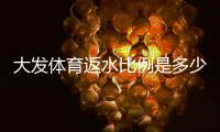 大发体育返水比例是多少？最新返水率一览与返利计算攻略