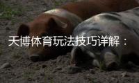 天博体育玩法技巧详解：新手必看实战攻略与投注技巧
