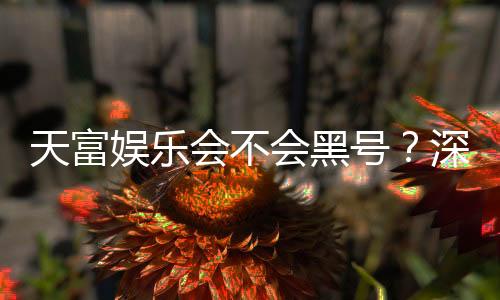 天富娱乐会不会黑号？深度解析平台安全性与防黑技巧