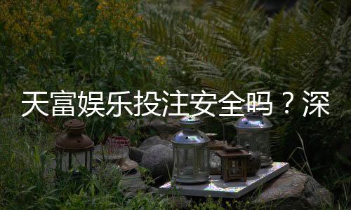 天富娱乐投注安全吗?深度解析平台资质与资金保障