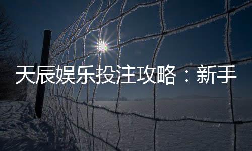 天辰娱乐投注攻略:新手快速上手与实用技巧分享