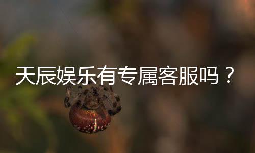 天辰娱乐有专属客服吗？为您揭秘VIP一对一服务体验
