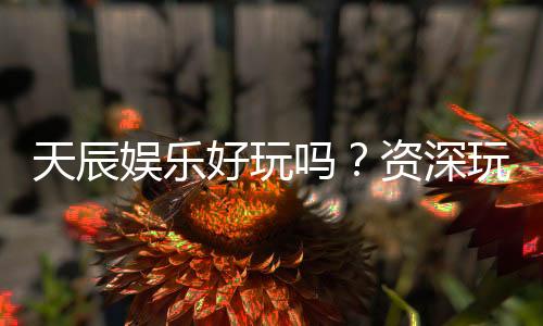 天辰娱乐好玩吗?资深玩家亲测体验分享