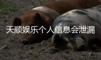 天顺娱乐个人信息会泄漏吗？资深玩家解析平台安全性