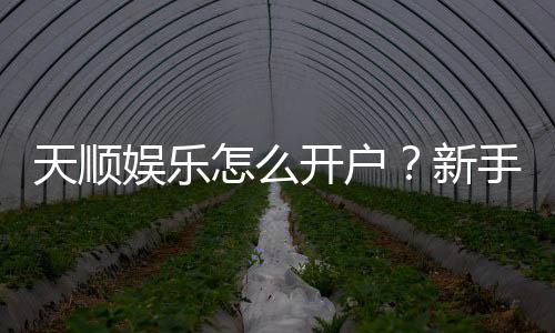 天顺娱乐怎么开户？新手快速注册指南