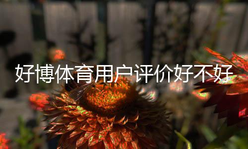好博体育用户评价好不好?真实口碑、优缺点与使用体验全解析
