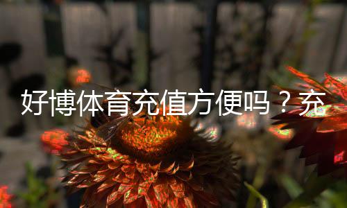 好博体育充值方便吗?充值流程、支付方式与到账速度一文看懂