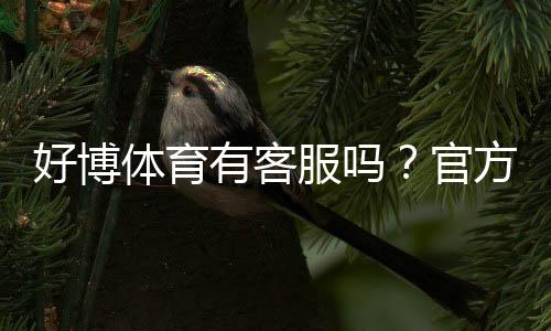 好博体育有客服吗？官方客服渠道、响应时效及常见问题解决全指南