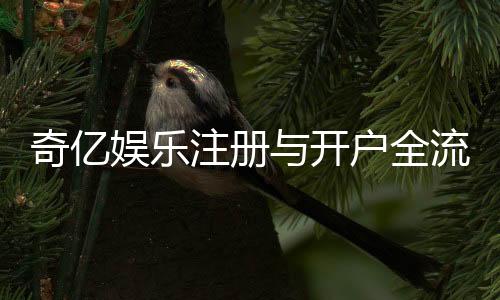 奇亿娱乐注册与开户全流程:新手必看的详细步骤指南