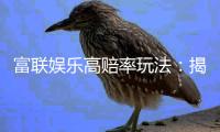富联娱乐高赔率玩法：揭秘稳赢技巧与高回报策略