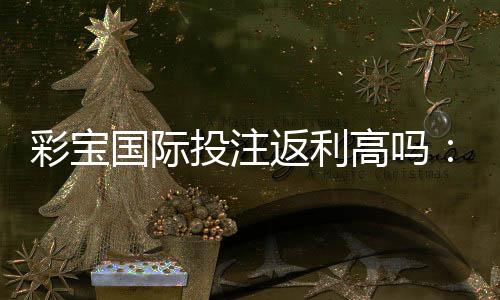彩宝国际投注返利高吗：一探真相