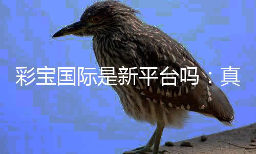 彩宝国际是新平台吗:真实还是虚假?