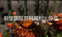 彩宝国际官网福利:惊喜不断优惠精彩
