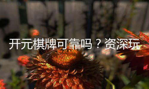 开元棋牌可靠吗?资深玩家解析平台安全性与游戏体验
