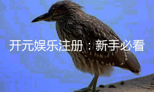 开元娱乐注册：新手必看的开户流程与操作指南