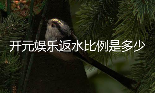 开元娱乐返水比例是多少？揭秘高返水福利与实战技巧