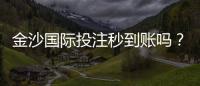 金沙国际投注秒到账吗？实测到账速度与提款技巧分享