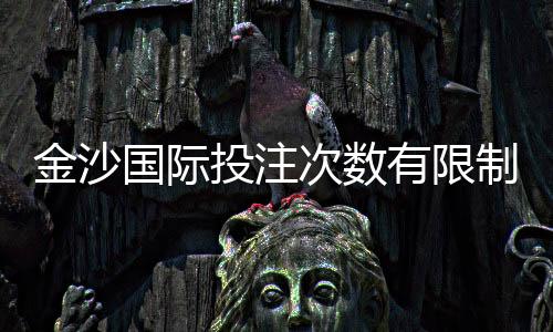 金沙国际投注次数有限制吗？详解平台规则与下注技巧