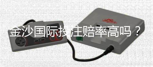 金沙国际投注赔率高吗？资深玩家揭秘真实回报率与技巧