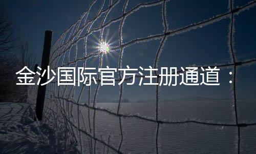 金沙国际官方注册通道：畅享顶级棋牌娱乐与电子游艺的尊贵体验