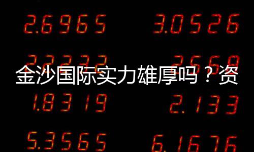 金沙国际实力雄厚吗？资深玩家深度解析其真实背景与优势